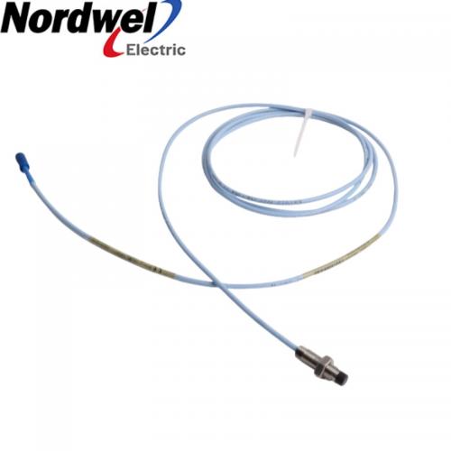 Bently Nevada 330101-00-11-20-02-00