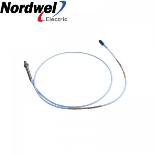 Bently Nevada 173688-01-20-12-05