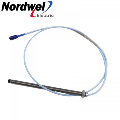 Bently Nevada 330101-00-66-20-02-CN